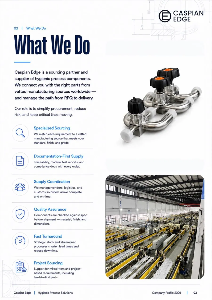 Caspian Edge company profile 2026 - page 3: What We Do