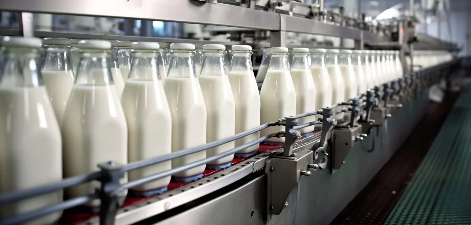 Dairy milk bottling production line
