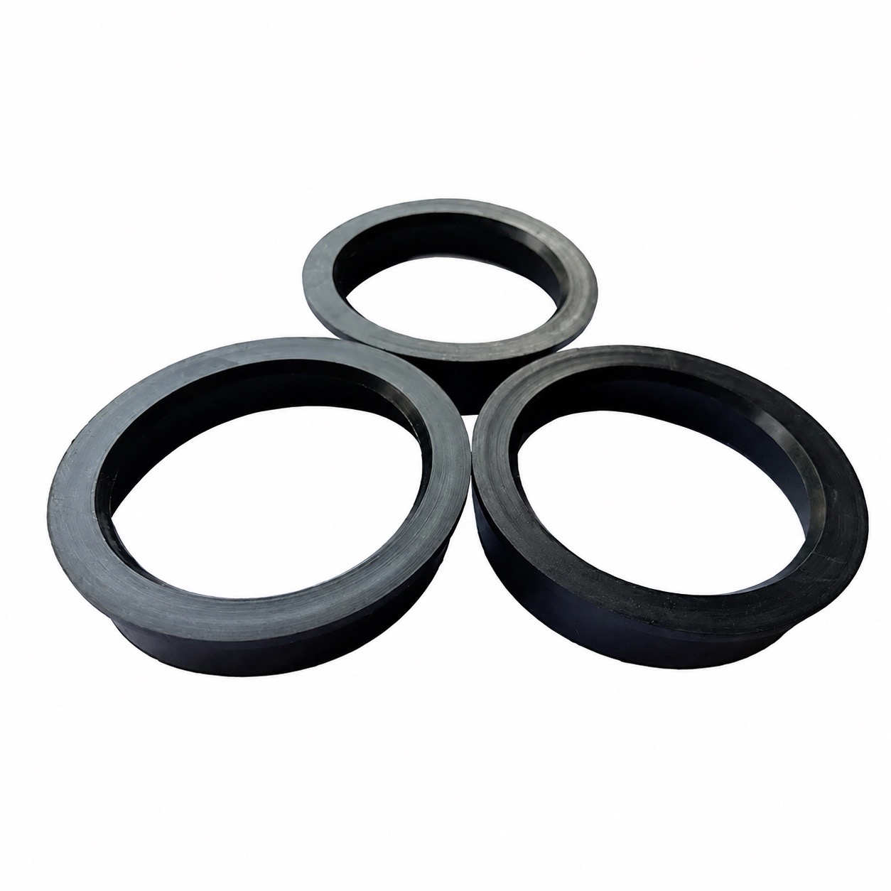 Sanitary Gaskets